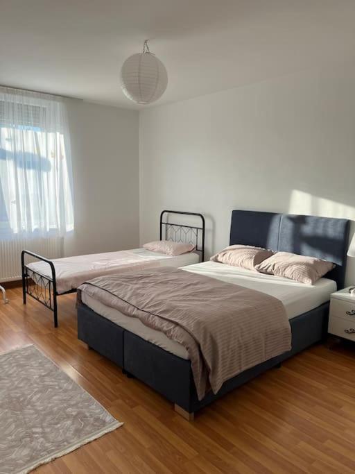 Appartement Des 3 Frontieres Saint-Louis  Dış mekan fotoğraf